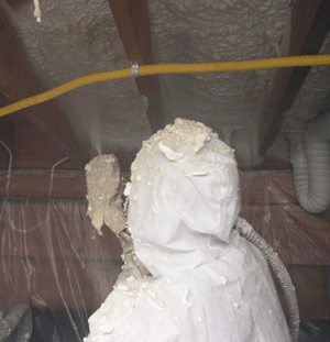  [SITE_STATE_ABBREV] crawl space insulation