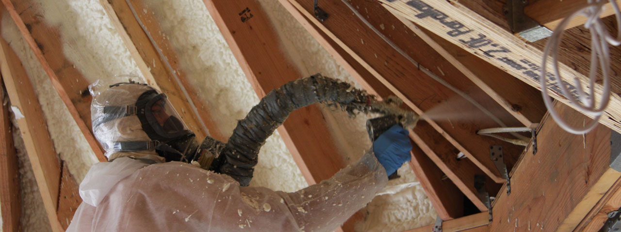 Canada Attic Insulation Spray Foam